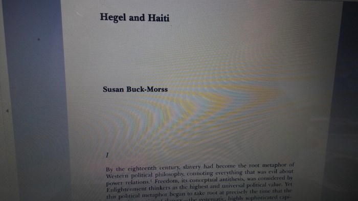 Susan Buck-Morss.jpg 2